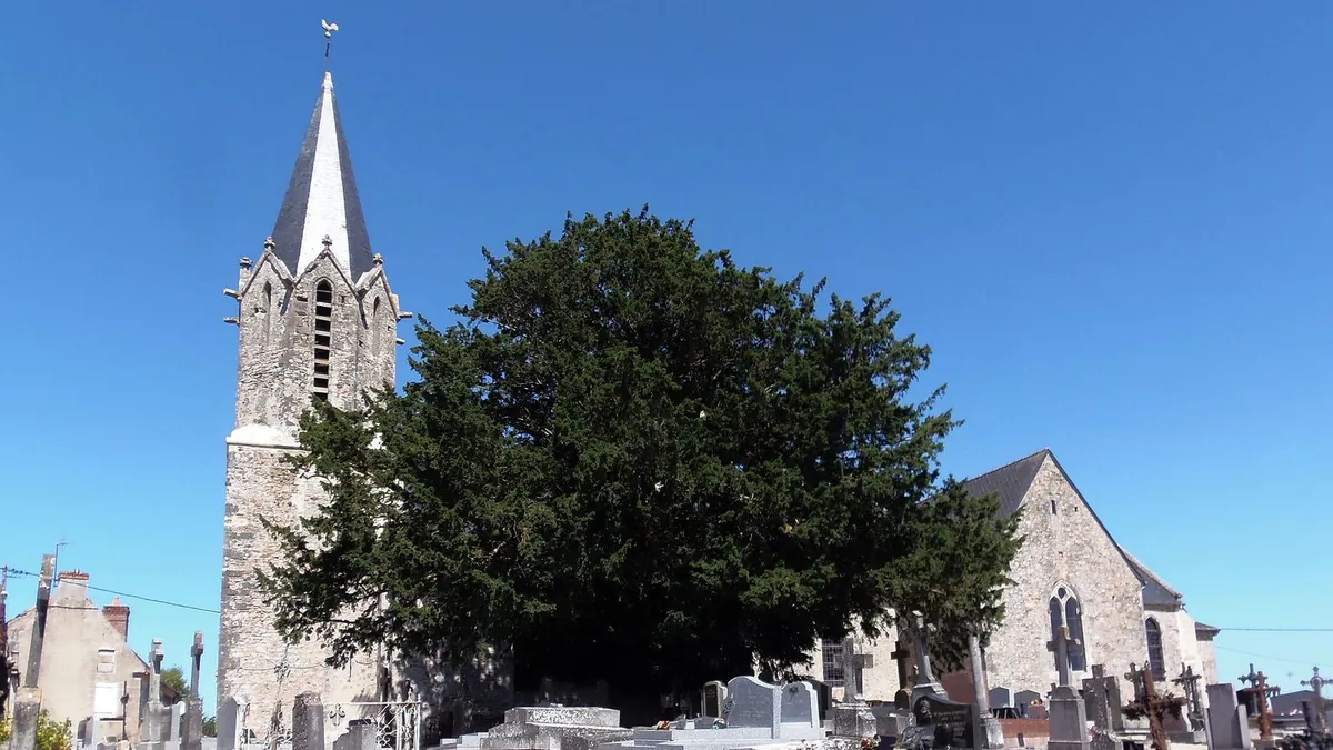 Église Saint-Brice de Nécy